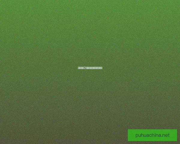 无主之地2：机械术士的力量与奇迹